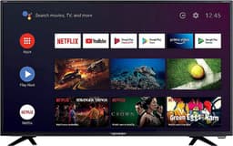 Denson 24" SMART DVD TV Full HD LED TV DVB-S2/C/T2, CI+, 9-30v — thumbnail 1