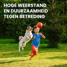 Express Graszaad voor Snelle Groei - 300 m² - Slijtvast Graszaad voor Zon en Halfschaduw - Italiaans Graszaad voor Tuin — thumbnail 4