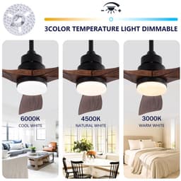 HAUSS SPOLE Plafondventilator Met Verlichting - 107 cm - ABS - Zwart En Donker Walnoot - Afstandsbediening En Omkeerbare DC-Motor — thumbnail 5