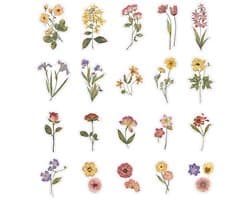 Deco stickerset - Bloemen - 40 stuks - Flower Sticker - Bullet Journal Stickers - Planner Agenda Stickers - Bloem - Botanisch - Scrapbook stickers - Laptop stickers - Telefoon stickers - Bujo stickers