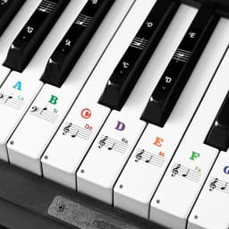Finesse Piano Stickers - Herbruikbaar Zonder Lijmresten - 32/37/49/54/61/88 - Witte & Zwarte toetsen - Toetsenwijzer — thumbnail 1