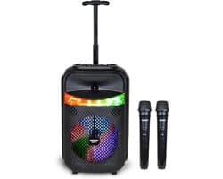 Draadloze Trolley Speaker met 2 Microfoons, RGB Verlichting en TWS Functie