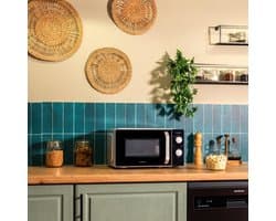 Cecotec Proclean 2010 Inverter Zwart Solo-magnetron Aanrecht 20 l 700 W