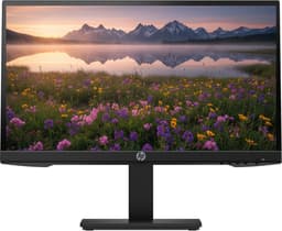 HP P22H G4 Monitor - 21.5 inch - 1920x1080 - Full HD - VGA - HDMI - DisplayPort — thumbnail 1