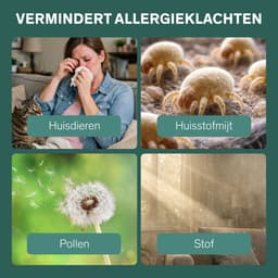Sinji Luchtreiniger / Air Purifier – HEPA H13 + Koolstoffilter – 220 m³/u, voor ruimtes tot ca. 55 m² – Ionisatie – Afstandsbediening – Timer & Display – Helpt bij stof, pollen & huisstofmijt — thumbnail 5
