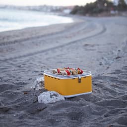 Barbecook Carlo - Tafel BBQ - Houtskool BBQ barbecue - Incl. Draagtas - Sunshine Yellow - 44 x 33 x 21cm — thumbnail 3