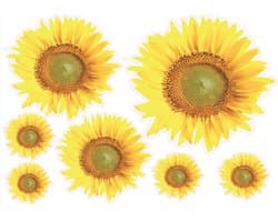 Zonnebloem Decoratie Stickers voor Kliko of Laptop | 10-delige Set | Waterbestendig Vinyl