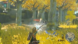 The Legend of Zelda: Tears of the Kingdom - Nintendo Switch — thumbnail 21