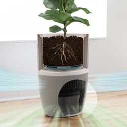 Stil, slim, stijlvol: Dupray Bloom luchtreiniger én plantenbak met medisch HEPA filter — thumbnail 3