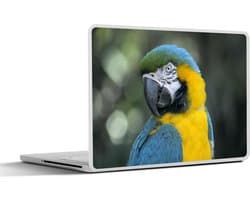 Laptop sticker - 12.3 inch - Vogel - Papegaai - Blauw - 30x22cm - Laptopstickers - Laptop skin - Cover