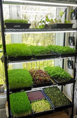Microgreens Rack Cooling Fan- KoelVentilator - DC 5V - 120x120x25mm - USB — thumbnail 2