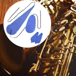 4-delige saxofoonreinigingsdoekenset - Saxofoon Doortrekwisser - Wisser - Onderhoud Doek - Sax Buis Doekjes - Reinigingsdoek voor saxofoon - Poetsdoek - Geschikt voor alt-, tenor-, sopraansaxofoon en andere blaasinstrumenten en houtblaasinstrumenten — thumbnail 2