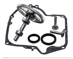 Geschikt voor Briggs & Stratton nokkenassen 793880, 793583, 792681, 791942, 795102; nokkenasvervangingsset met oliekeerring 795387; en Ruikalucky carterpakking 697110 LKBD.