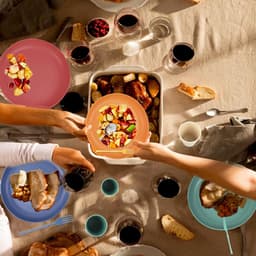 Complete 48-delige Onbreekbare Diner Set voor Kamperen, Lichtgewicht Plastic Borden en Schalen voor 4 Personen, Ideaal voor Buiten Eten, Magnetron- en Vaatwasserbestendig — thumbnail 5