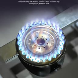 Roestvrijstalen Friteuse - Dubbele Tank - Thuis en Commercieel - Nauwkeurige Temperatuurregeling - Groot Formaat - Aardgas — thumbnail 4