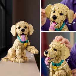 Lego Icons 11384 - Golden Retriever Puppy Bouwstenen — thumbnail 5