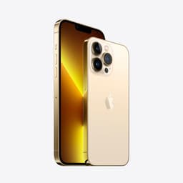 Apple iPhone 13 Pro - 256GB - Goud — thumbnail 3