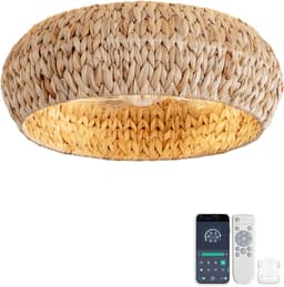 Inbouwventilator met lamp 19 inch - Dubbele bediening via app en afstandsbediening - Zes ventilatorsnelheden - ABS-bladen met rotan-design - Geschikt voor kleine slaapkamers - Minimalistische rustieke stijl — thumbnail 1