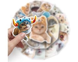 Cat Meme sticker set - 50 stuks - Voor laptop, smartphone, muur. Voor kinderen en volwassenen.