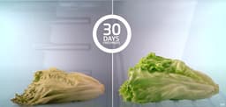 Beko B5RCNE365LXB - HarvestFresh - Koel-vriescombinatie — thumbnail 5