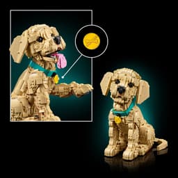 Lego Icons 11384 - Golden Retriever Puppy Bouwstenen — thumbnail 2