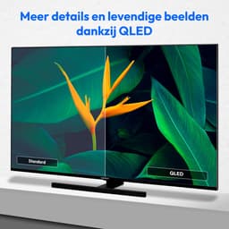 MEDION X15032 (MD 31411) 125,7 cm (50 inch) QLED TV (Fire TV, 4K Smart TV, Dolby Vision HDR, Dolby Atmos, Netflix, Prime Video) — thumbnail 4