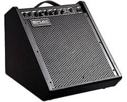 Bluetooth Speaker 100 W voor Drums, Piano en Gitaar - Monitor en Versterker