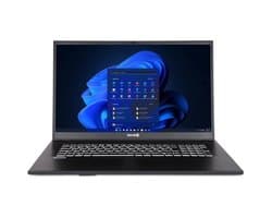 Terra Mobile 1716R 17.3" FullHD laptop - Intel Core i3-1315U - 8GB - 500GB M.2 SSD - DVD±RW - Windows 11 Home