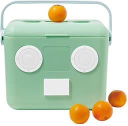 Sunnylife - Beach Accessoires Bluetooth Speaker en Koelbox Mint - Polypropyleen - Groen — thumbnail 1