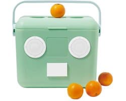Sunnylife - Beach Accessoires Bluetooth Speaker en Koelbox Mint - Polypropyleen - Groen