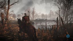 The Witcher 3: Wild Hunt - PS4 - Limited Edition — thumbnail 2