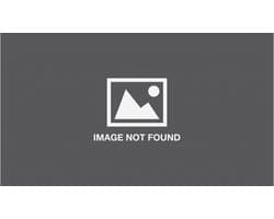 Not A Number Patrick Mcgoohan A Life