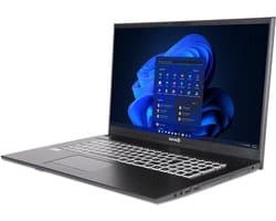 Terra Mobile 1716R 17.3" FullHD laptop - Intel Core i5-1334U - 32GB - 500GB M.2 SSD - Iris Xe Graphics - DVD±RW - Windows 11 Pro