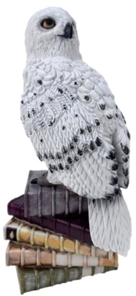 Harry Potter 3D Statue - Hedwig - (48 cm hoog) (Het unieke kado voor elke harry potter fan) — afbeelding 1