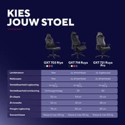 Trust GXT 721 Ruya Pro - Premium Gaming Stoel - Nekkussen - Verstelbare Rug Ondersteuning - Hoogte Verstelbaar - Rug- & Armleuningen Verstelbaar - Zwart/Grijs — thumbnail 3