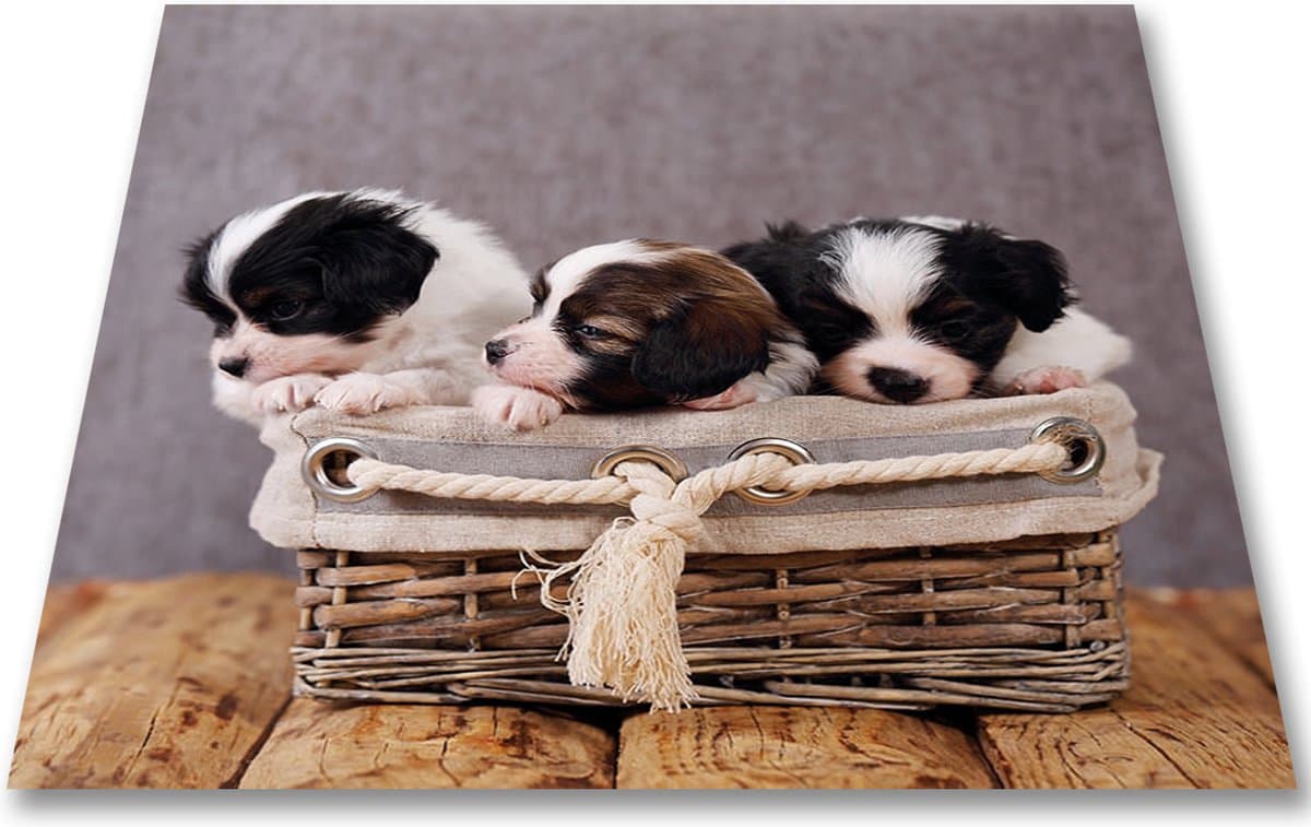 Papillon Wasmachine Beschermer - Antislip mat - 60x60 cm – Puppies — afbeelding 1