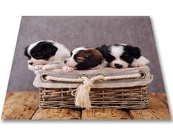 Papillon Wasmachine Beschermer - Antislip mat - 60x60 cm – Puppies