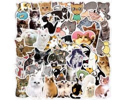 50 stuk kat cat Cartoon stickers voor kinderen en volwassenen Beloningsstickers Journal Laptop Telefoon Stickers