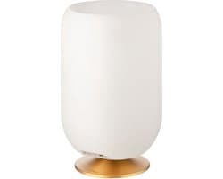 Kooduu Atmos - Wijnkoeler - Bluetooth Speaker - LED Lamp - Bronskleurig - 35 cm - Dimbaar - Tafellamp - Oplaadbaar- Party Speaker - Speakerlamp