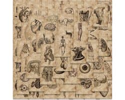 Retro-anatomie Stickers 50 Stuks - Luxe Stickers - Skateboard Stikers - Laptop Stickers - Stickers Kinderen - Stickers Volwassenen - Stickervellen - Plakstickers - Stickers Koffers - Bullet Journal