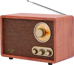 Adler 1171 - Radio - Draagbaar - Bruin — thumbnail 1