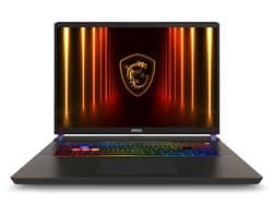 "MSI Vector 17 HX AI A2XWJG-056NL Intel Core Ultra 9 275HX Laptop 43,2 cm (17"") Quad HD+ 32 GB DDR5-SDRAM 1 TB SSD NVIDIA GeForce RTX 5090 Wi-Fi 7 (802.11be) Windows 11 Home Grijs"