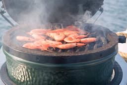 Big Green Egg Small — thumbnail 4