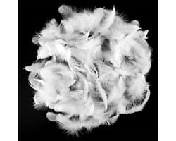 500 Stuks Witte Veertjes voor Creatief Gebruik, 8-12 cm, Fluffy Veertjes voor DIY Decoraties, Bruiloften en Dromenvangers