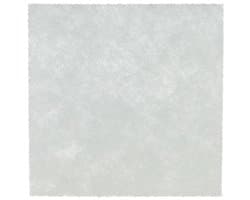 Philips Filter Motorfilter FC8240, FC8249, FC8293, FC8299 432200494501