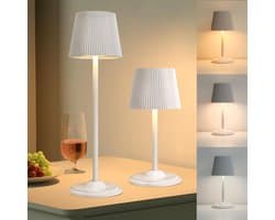 Draagbare draadloze Bluetooth-luidspreker voor binnen en buiten, compact en lichtgewicht