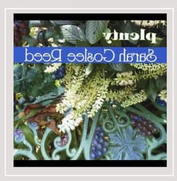 Opslag Schijf - DVD Disc - Data Archiveren - Krasbestendig - 14 cm - Zilver — thumbnail 1