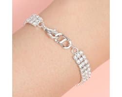 5-delige dubbele gaatjes kreeftsluitingen van roestvrij staal, metalen sluitingen voor kettingen en armbanden, connectoren voor sieraden (Zilver)