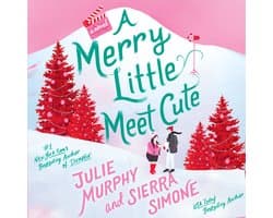 A Merry Little Meet Cute