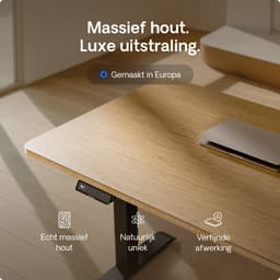 Desktronic HomeOne Zit-sta Bureau Elektrisch In Hoogte Verstelbaar, 160x80 cm Bamboo/Zwart, Stille Dubbele Motor, Hoogte 72-119cm — thumbnail 3